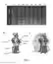 Fig. 05 - Modified host cells having tolerance to α-olefins
