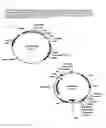 Fig. 04 - Expression of mammalian proteins in 
