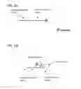 Fig. 02 - COMPOSITIONS AND METHODS FOR PRODUCING SINGLE-STRANDED CIRCULAR DNA