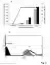 Fig. 02 - Method of detecting a microorganism in a sample by a fluorescence based detection method