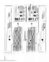 Fig. 12 - SELF-ASSEMBLY OF DNA ORIGAMI: A NEW DIAGNOSTIC TOOL