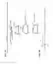 Fig. 16 - Locus specific amplification using array probes