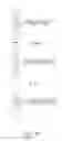 Fig. 15 - DETECTION OF NUCLEIC ACID REACTIONS ON BEAD ARRAYS