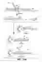 Fig. 25 - DETECTION OF NUCLEIC ACID REACTIONS ON BEAD ARRAYS