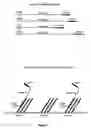 Fig. 02 - Arrays comprising chimeric compositions