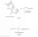 Fig. 03 - CHEMICALLY-ENHANCED PRIMER COMPOSITIONS, METHODS AND KITS