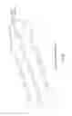 Fig. 05 - CHEMICALLY-ENHANCED PRIMER COMPOSITIONS, METHODS AND KITS