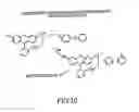 Fig. 11 - Method of determining the nucleotide sequence of oligonucleotides and DNA molecules