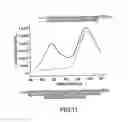Fig. 12 - Method of determining the nucleotide sequence of oligonucleotides and DNA molecules