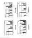Fig. 15 - Method of determining the nucleotide sequence of oligonucleotides and DNA molecules