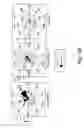 Fig. 05 - Methods for use in combination for the treatment and diagnosis of autoimmune diseases