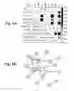 Fig. 19 - Methods for use in combination for the treatment and diagnosis of autoimmune diseases