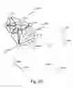 Fig. 20 - Methods for use in combination for the treatment and diagnosis of autoimmune diseases