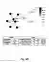 Fig. 23 - Methods for use in combination for the treatment and diagnosis of autoimmune diseases