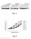 Fig. 03 - Methods of treating autoimmune conditions in patients with genetic variations in DcR3 or in a DcR3 network gene
