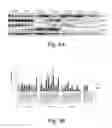 Fig. 04 - Methods of treating autoimmune conditions in patients with genetic variations in DcR3 or in a DcR3 network gene