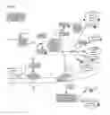 Fig. 02 - Compositions and methods for identification, assessment, prevention, and treatment of cancer using NFS1 biomarkers and modulators