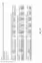 Fig. 28 - SMALL ncRNAS AS BIOMARKERS