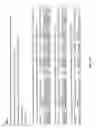 Fig. 29 - SMALL ncRNAS AS BIOMARKERS