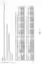 Fig. 32 - SMALL ncRNAS AS BIOMARKERS