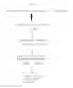 Fig. 02 - Method for detecting genes sensitive to low-level ionizing radiation