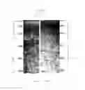 Fig. 16 - Snap fit assembly for a ruggedized multi-section structure with selective embrittlement or case hardening