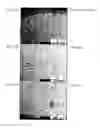 Fig. 08 - HOMOGENIZATION METHOD FOR Cu ALLOY COMPRISING Ru