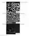 Fig. 09 - HOMOGENIZATION METHOD FOR Cu ALLOY COMPRISING Ru