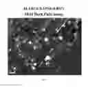 Fig. 03 - Aluminium based alloys for high temperature applications and method of producing such alloys
