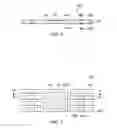 Fig. 04 - Mask-Less Selective Plating of Leadframe