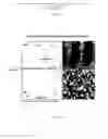 Fig. 03 - PROCESSES TO AVOID ANODIC OXIDE DELAMINATION OF ANODIZED HIGH STRENGTH ALUMINUM ALLOYS