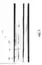 Fig. 06 - Flexible composite prepreg materials