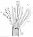 Fig. 01 - Wired kernmantle