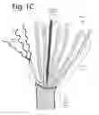 Fig. 04 - Wired kernmantle
