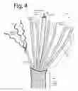Fig. 07 - Wired kernmantle
