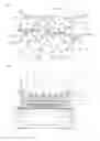 Fig. 02 - WET PAPER WEB TRANSFER BELT