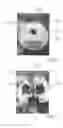 Fig. 03 - Devices for cross bore safeguard during sewer system cleanouts