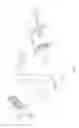 Fig. 13 - Casement window opening control device with sliding arms