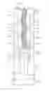 Fig. 01 - System and method for powering and deploying an electric submersible pump