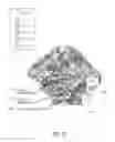 Fig. 16 - System For Hydraulic Fracturing Design And Optimization In Naturally Fractured Reservoirs