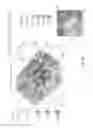 Fig. 17 - System For Hydraulic Fracturing Design And Optimization In Naturally Fractured Reservoirs