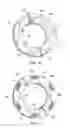 Fig. 08 - INDIVIDUALLY COMPLIANT SEGMENTS FOR SPLIT RING HYDRODYNAMIC FACE SEAL