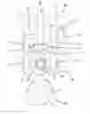 Fig. 01 - Lifter