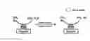 Fig. 01 - METHOD FOR REGENERATING CATALYST FOR OXIDIZING COMPRESSED NATURAL GAS VEHICLE EXHAUST GAS
