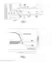 Fig. 02 - Method for diagnosing SCR catalyst and feed gas quality in a diesel after-treatment system