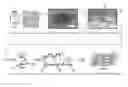 Fig. 01 - Evaporation-driven engines