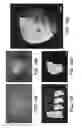 Fig. 16 - Evaporation-driven engines