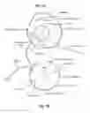Fig. 06 - Continuous sample delivery peristaltic pump