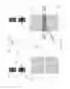 Fig. 11 - Convectors
