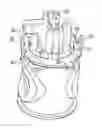 Fig. 01 - Retainer for check valve